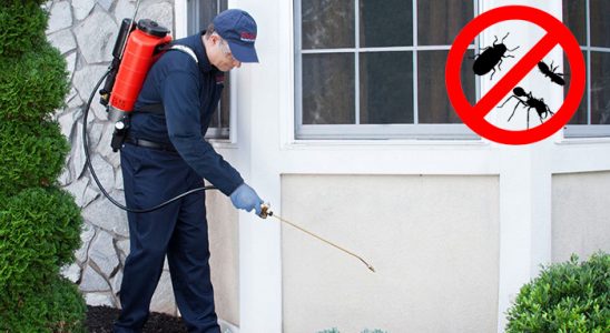 Kapaklı Fare İlaçlama böcek ilaçlama ve haşere kontrolü — ilaclama-tr.com